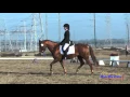 076D McKenna Goodson on Enchanted JR Novice Dressage FCHP November 2015