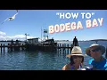 How to do a Day Trip to Bodega Bay