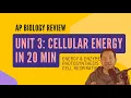 AP Biology Unit 3 on Energetics in 20 MINUTES