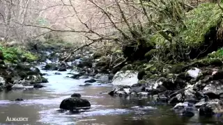 ايات عن الجنة بصوت منصور السالمي   مؤثرة ومبكية دندنها