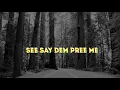 Lagu Burna boy Pree Me (lyrics video)