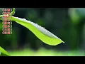 《心雨》《晚秋》《花心》《窗外》《大海》《懂你》推荐好听老歌