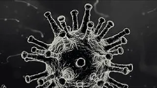 corona virus amapiano 2020 