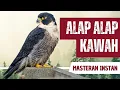 Download Lagu Masteran Suara Burung Alap Alap Kawah 10 Menit Gacor