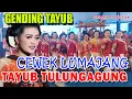 Download Lagu GENDING TAYUB TULUNGAGUNG CEWEK LUMAJANG
