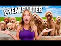 Puppies are Reunited after 2 Years Will they remember