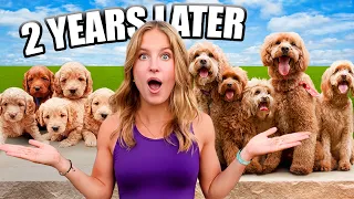 Puppies are Reunited after 2 Years! Will they remember?