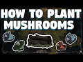 How To Plant Mushrooms in Don t Starve Together - Mushroom Planters in DST