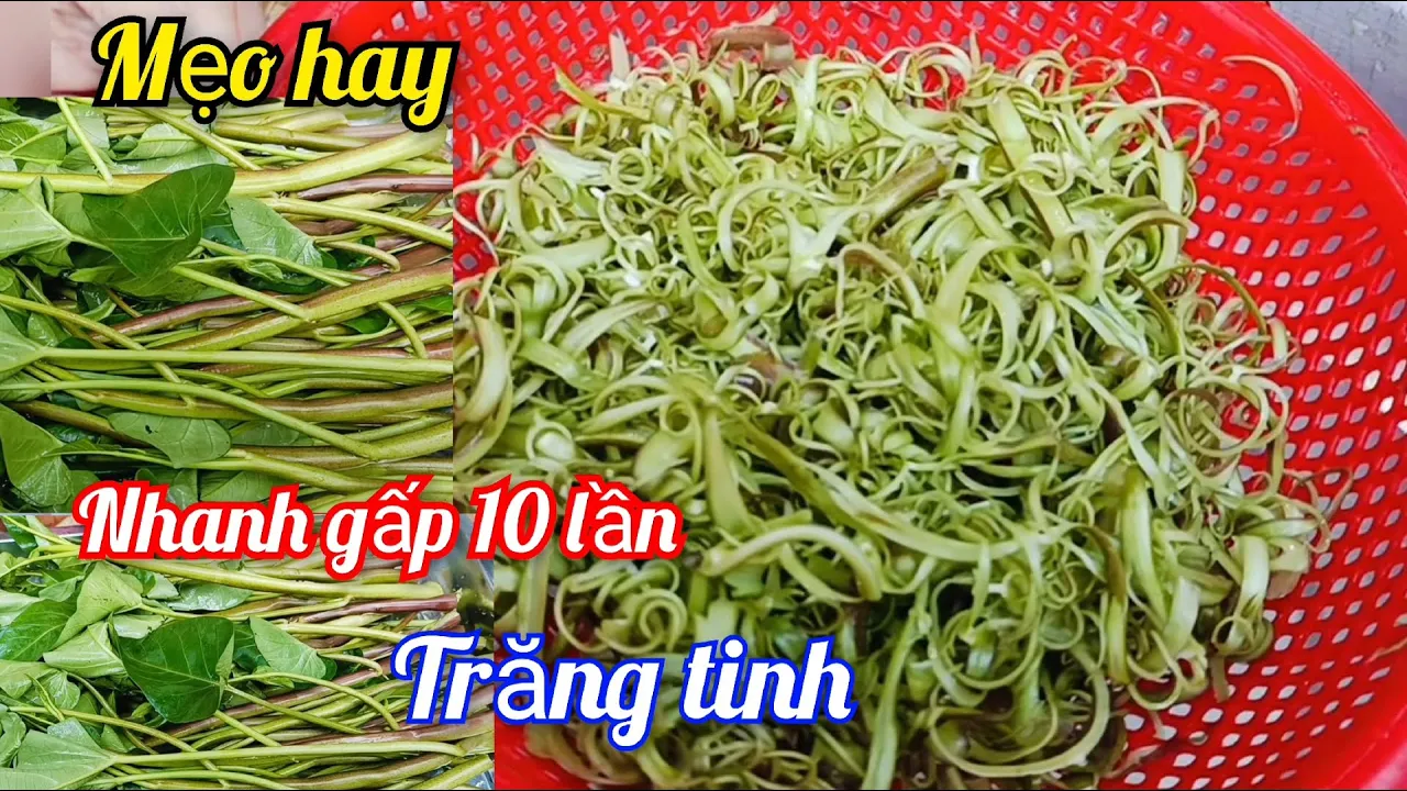 Outline Video Mẹo Hay 🍀 Cách Bào Rau Muống Nhanh Trắng Không Bị Thâm Đen Nhờ Mẹo Nhỏ Này -Ko Chanh -Ko Giấm