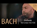 Download Lagu Bach: Cantata 156 | Sinfonia | Leo Duarte \u0026 Academy of Ancient Music