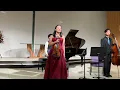 Clara Schumann: Piano Trio in G minor, Op.17, I Allegro Moderato 