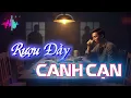 Lagu Rượu Đầy Canh Cạn - Nhạc Đời Đúng Từng Câu Từng Chữ | Tốt Với Nhau Nhờ Thời Chứ Đâu Ai Tốt Cả Đời...