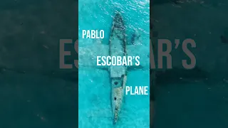 Blue’s about to snorkel Pablo Escobar’s plane in the Bahamas ✈️🌊