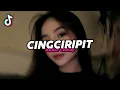 Lagu DJ CINGCIRIPIT REMIX VIRAL FYP TIKTOK TERBARU 2025! Akbar Chalay