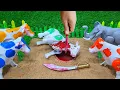 Download Lagu WADIDAU PROSES POTONG SAPI QURBAN SIMOLASI POTONG SAPI QURBANI IDUL IDHA COW @toystory7209