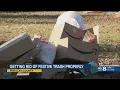 Online tool helps Pinellas County residents dispose of holiday trash