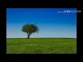 Download Lagu Bar Yochai Song In Honor of Lag BaOmer - Ashkenazi