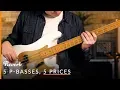 Download Lagu 5 Precision Basses, 5 Prices: What's the Difference? | Reverb
