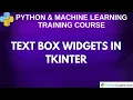 Text Box Widgets in Tkinter - Python Tkinter GUI Tutorial