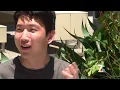 Students Shouldn t Be Political Pawns Politically Speaking NBC 7 San Diego