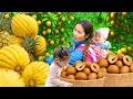 Download Lagu Harvesting 5000Kg+ Sapodilla and pineapple to sell at the market - Cooking porridge for my children