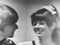 NEW * Cherish - The Association "Single Version" {Stereo} 1966