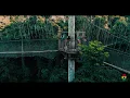 Download Lagu Kakum NATIONAL PARK Cinematic DRONE Shot, Ghana