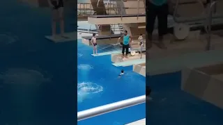 اللاعب فيصل حميد موهبة جديدة تسجل حضورها بالفريق الثاني بالمركز 