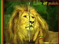 DULCE AMOR -GONDWANA