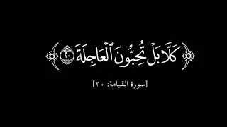شاشه سوداء الشيخ إدريس أبكر سورة القيامة كاملة صوت هادءومريح تلاوة خاشعة كرومات جاهزه التصميم       دندنها