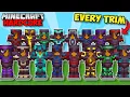 I Found EVERY ARMOR TRIM in Minecraft Hardcore