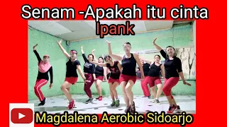 Download Senam kreasi/Apakah itu cinta/Ipank/koplo/Tiktok MP3