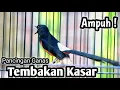Download Lagu MURAI BATU GACOR FULL ISIAN TEMBAKAN KASAR KRETEKAN GANAS AMPUH BUAT PANCINGAN MURAI BATU