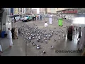 Download Lagu Umrah Intro Video -