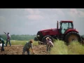 Queen Sugar on OWN Premieres September 7th