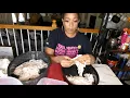 Aunt Bessies Chitterling A - Z Honest Review They Are they still worth it