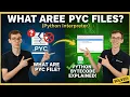 What are PYC Files Python Interpreter