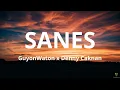Download Lagu Lirik Lagu SANES - GuyonWaton x Denny Caknan  | Opo koe ra ngerti larane