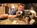 Zoboomafoo with the Kratt Brothers EGGS Full Episodes Compilation