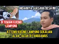 Download Lagu Cat Lovers Tv masih Libur Jalan-Jalan Di Kampung Tanggamus Lampung..‼️