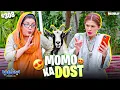 QURBANI KA BAKRA 😍🐐 | Bulbulay Season 2 | Episode 308 | Momo \u0026 Nabeel | Khoobsurat | Comedy 2025