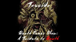 Download Scream Bloody Gore - Trucido (Death Cover) MP3