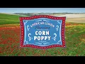 Flanders Fields Corn Poppy Special Collection - American Legion