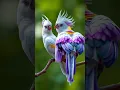 Download Lagu Birds #4 #nature #birdsounds  #wildlife #ai #parrot
