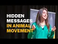 Hidden messages What movements reveal about animals lives POP Talks