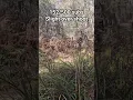 Download Lagu licht overschieten #mtb #mtbparejas #fiets #abonneren #bulun
