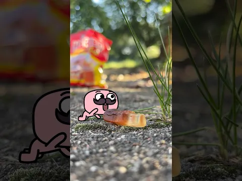 Hey WHAT! MrYogurt IRL Animation Meme