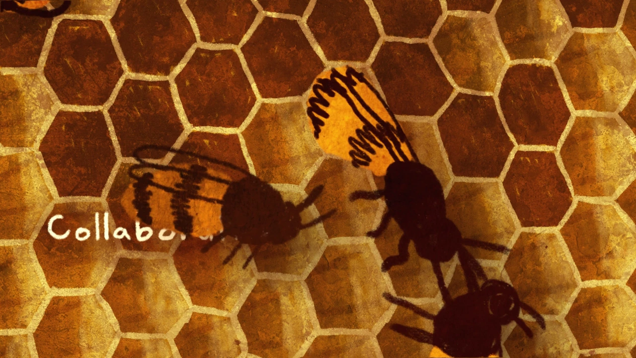 Citizen science - in researching biodiversity