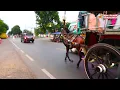 Download Lagu 🐴LAGU NAIK DELMAN VERSI  NAIK DELMAN TRIO KWEK KWEK  SUARA KUDA SUARA KUDA | Kuda Delman Purbalingga