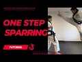 Download Lagu One Step Sparring Seminar